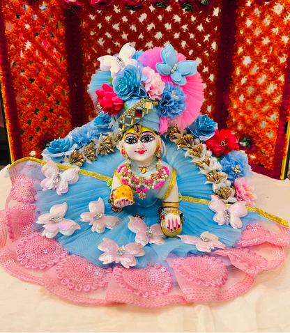Sky Blue & Pink Butterfly Designer Poshak