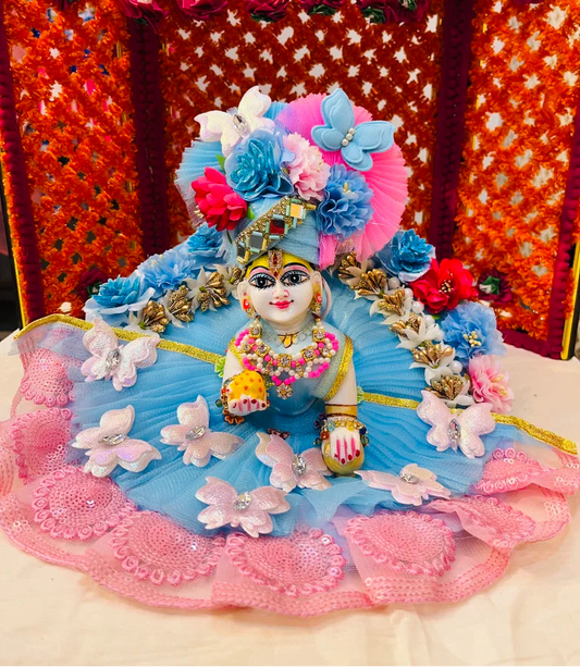 Sky Blue & Pink Butterfly Designer Poshak